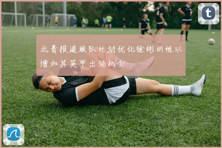 北青报道狼队计划优化徐彬训练以增加其英甲出场机会